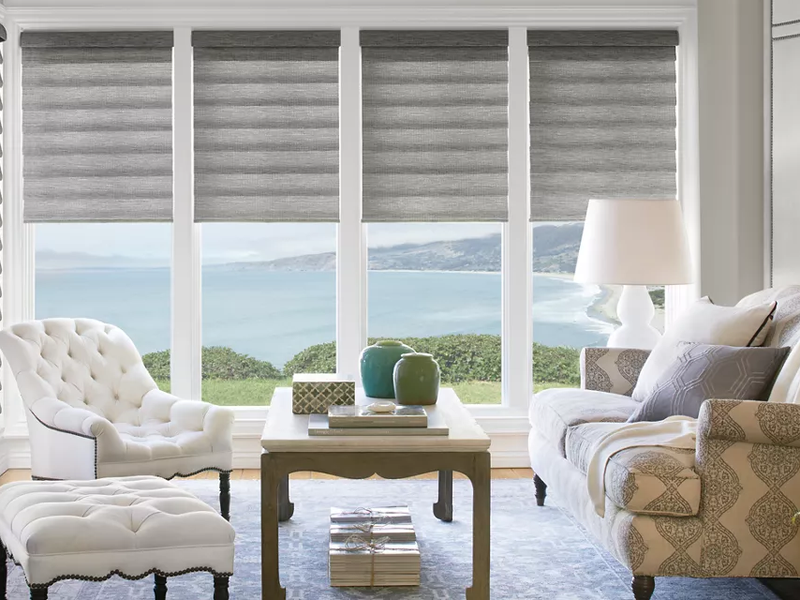Home window treatments, living room - F & S Floor Covering
