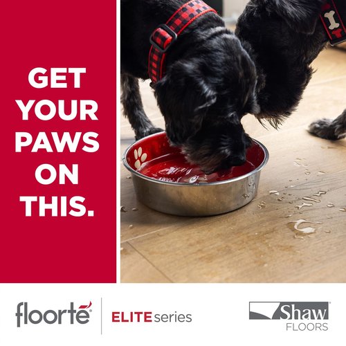 Get your paws on this - F & S Floor Covering